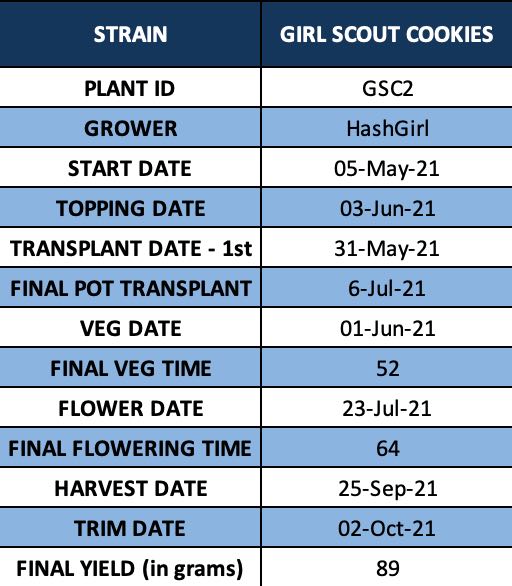 Photo 5a - GSC2.jpg