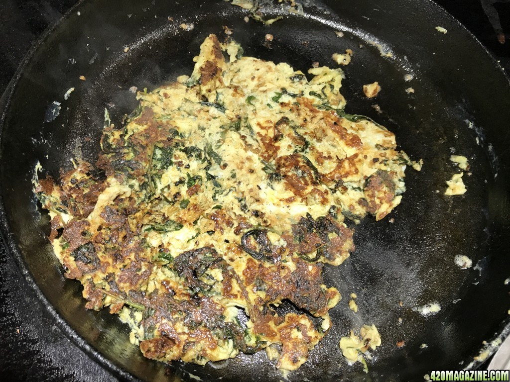 Photo 9 - Canna Omelette