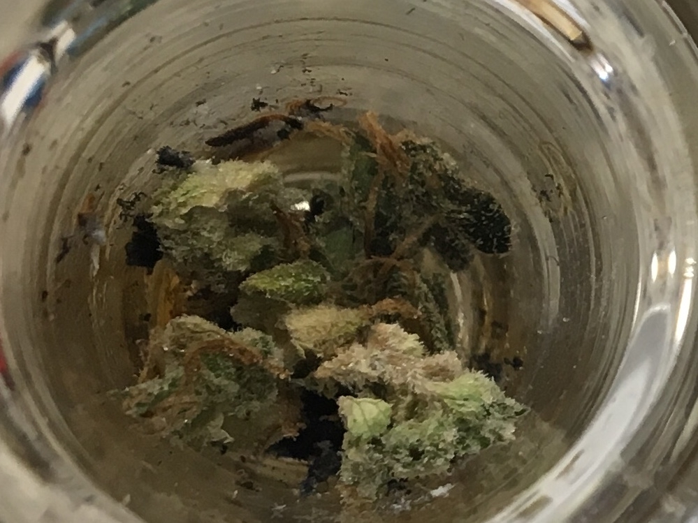 Pineapple Chunk 1: a typical hit