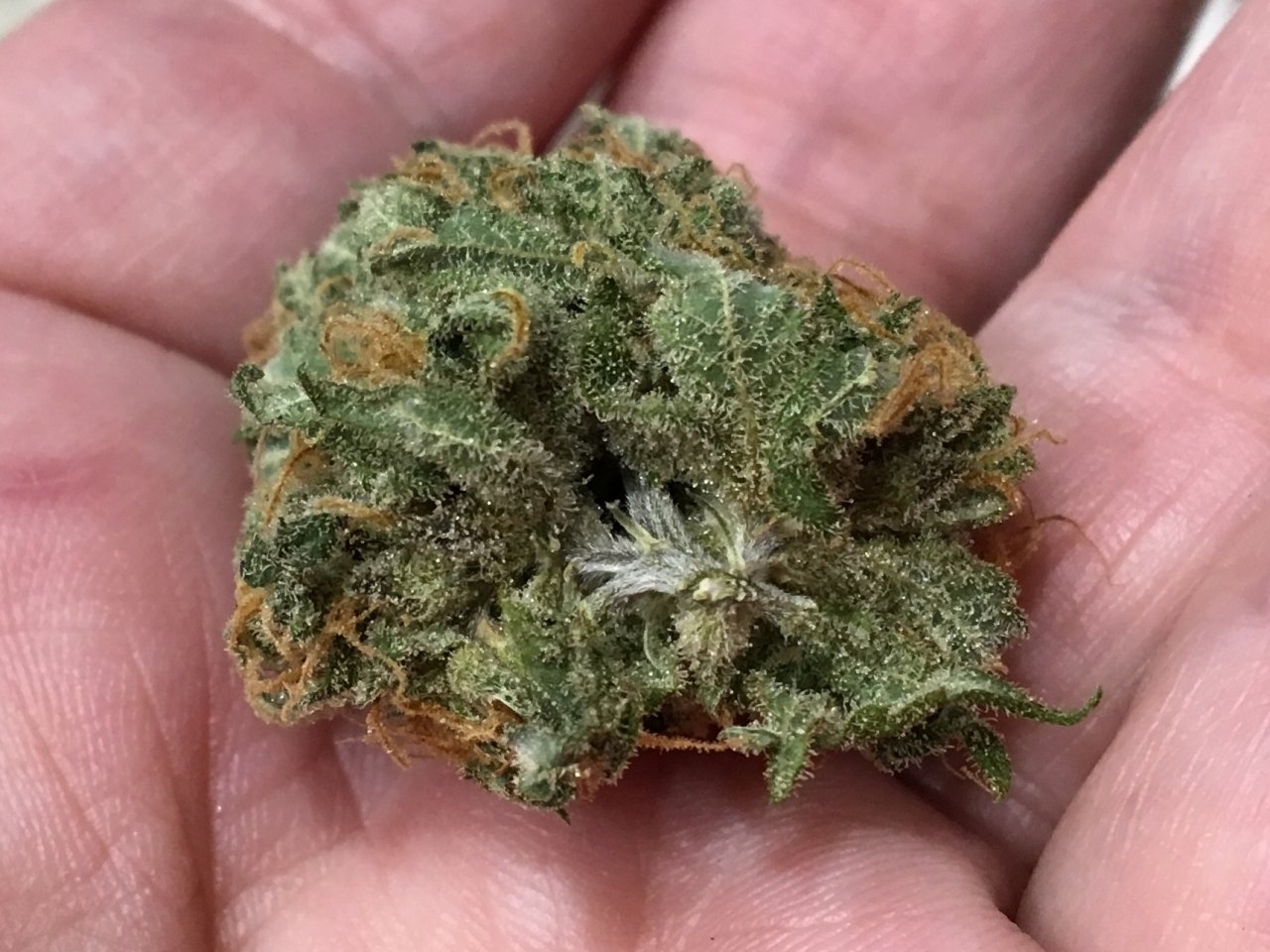 Pineapple Chunk 2