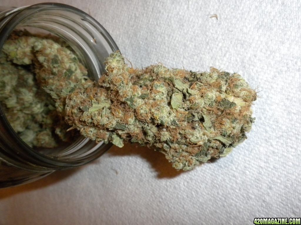 pineapple express bud