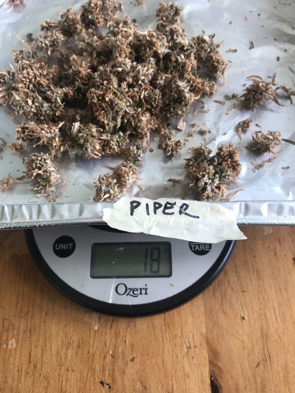 Pineapple Express (Piper)-Harvest Day-u.jpg