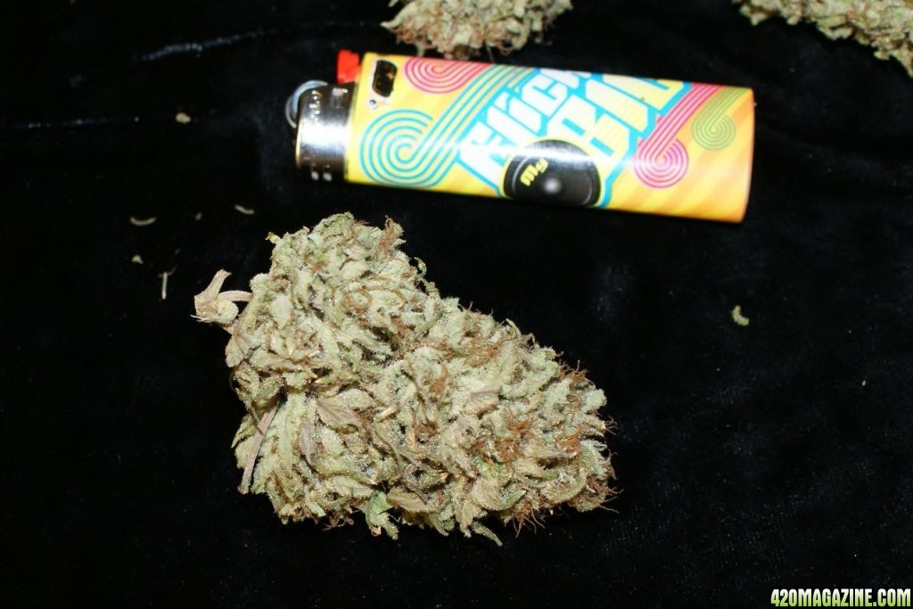 pineapple_nugs0