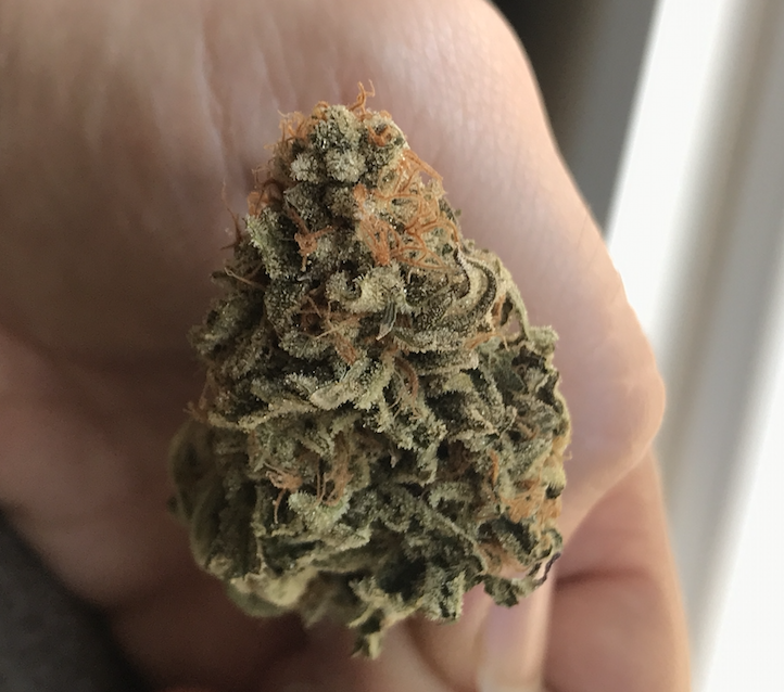 Pink Kush Nug 1.png