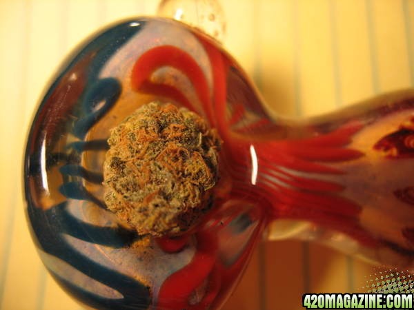 pipe and bud