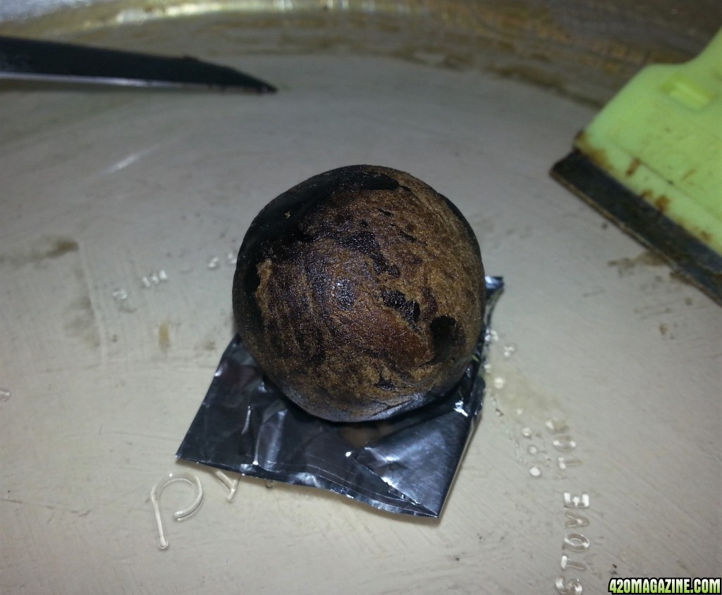 Planet Hashish