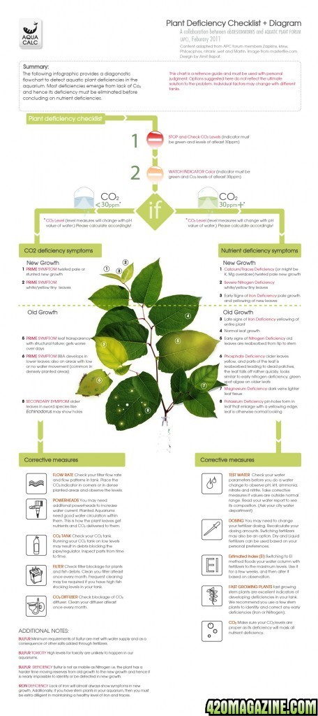 plant-deficiency-labeled21