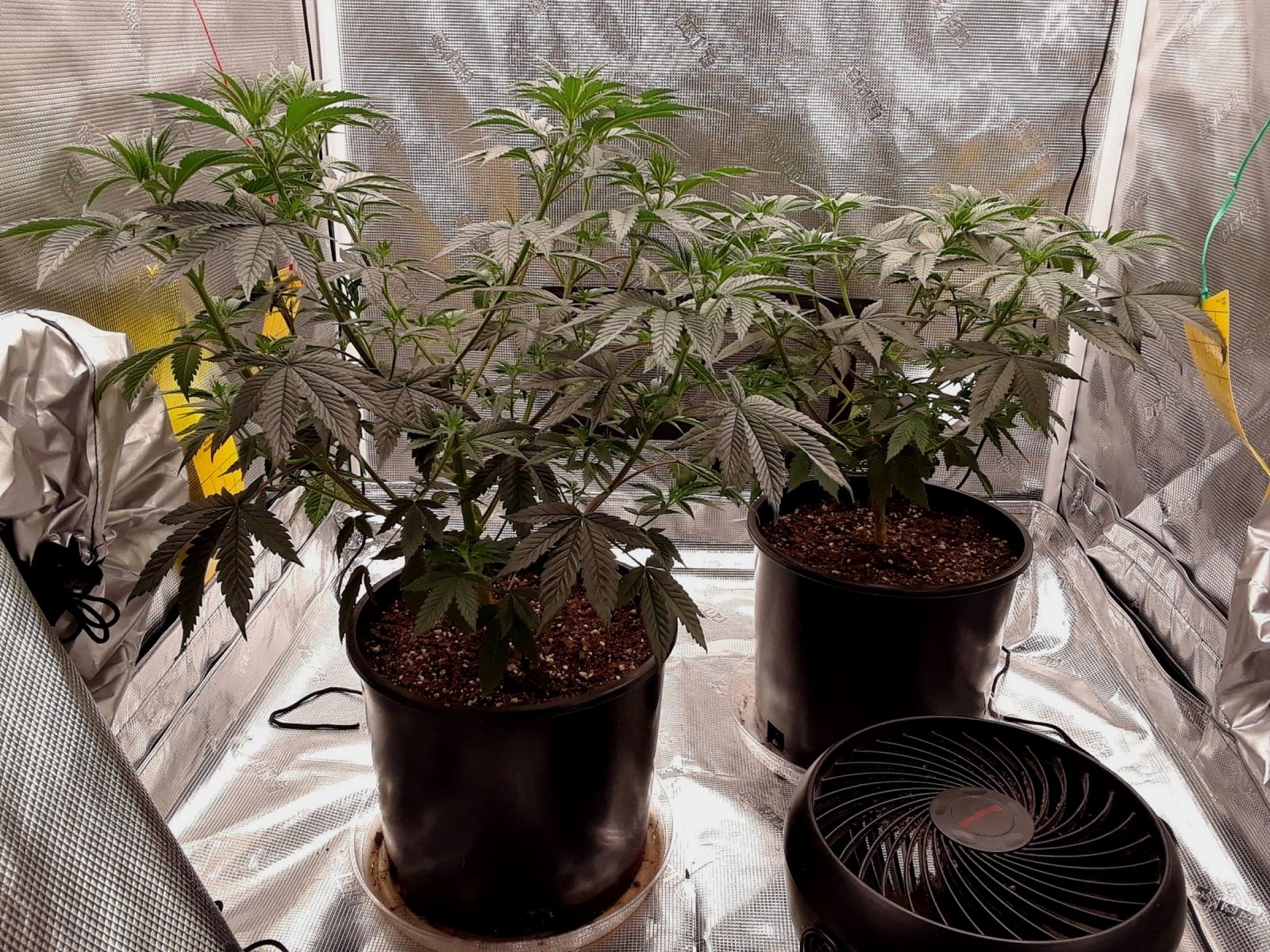 PlantsToday 11-25.jpg