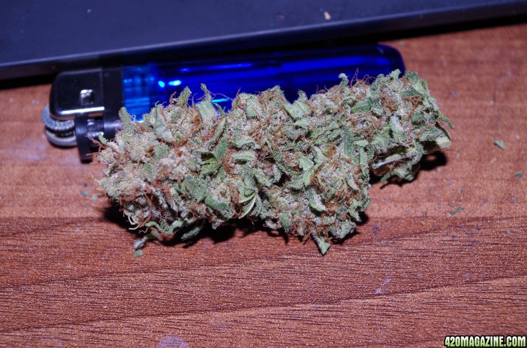 Plushberry Nug