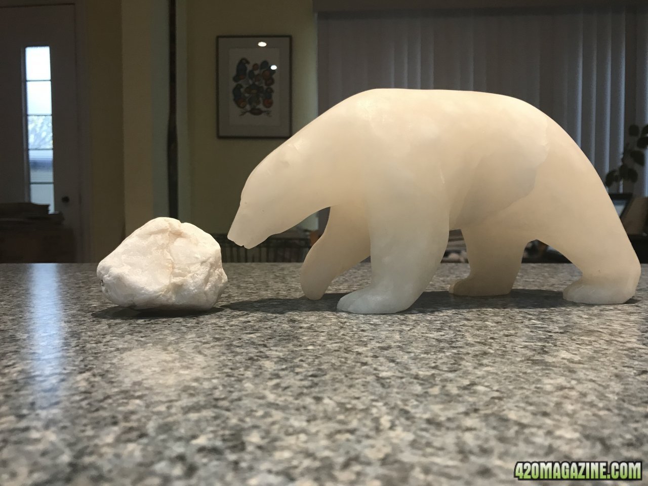 Polar Bear in the Arctic