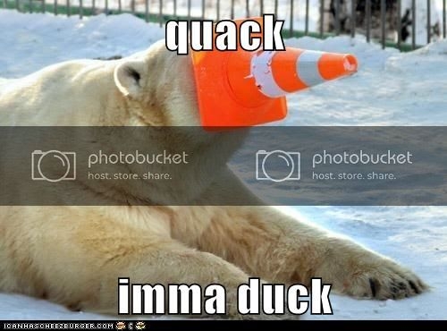 PolarBearTrafficConeDuck.jpg