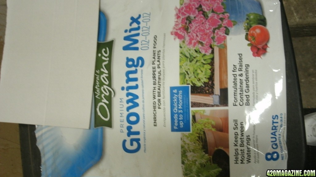 potting mix