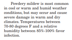 Powdery mildew.PNG