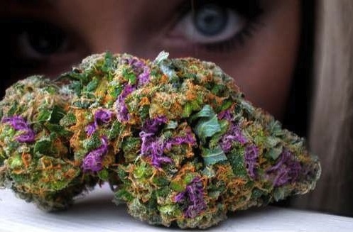 Pretty bud &amp; eyes