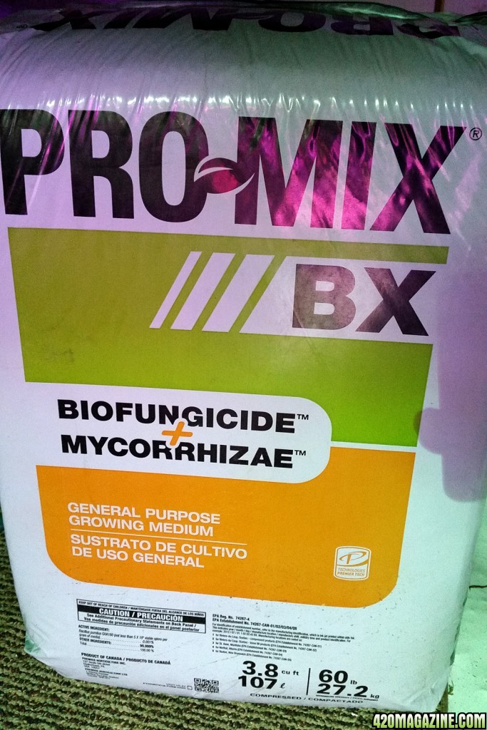 promix6