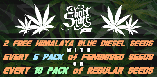 Promo Short Stuff Seeds