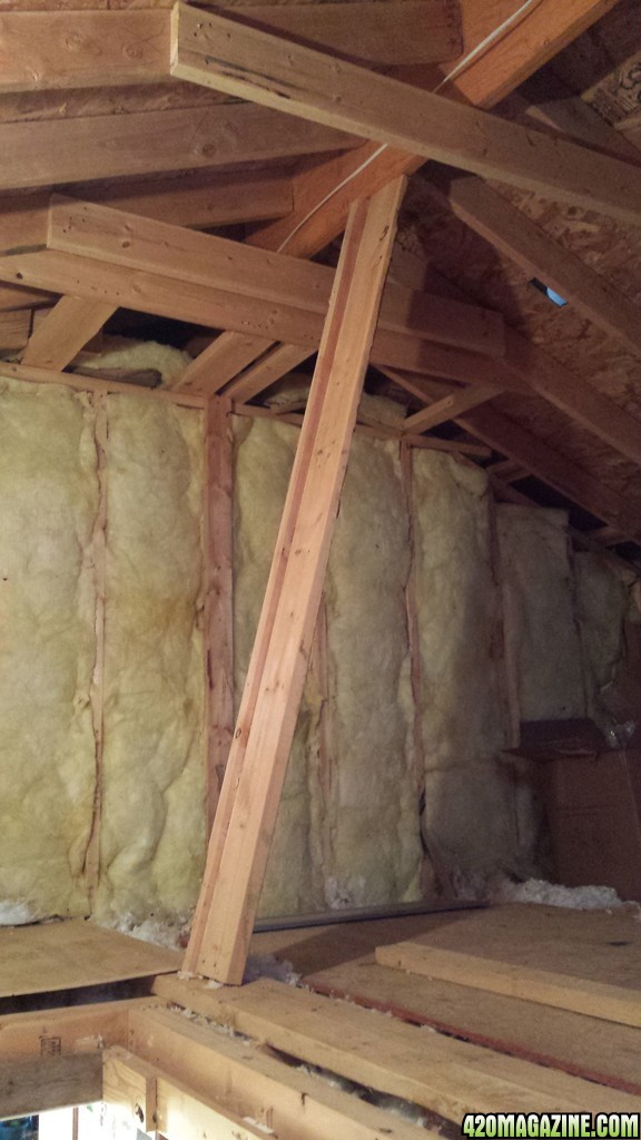 Prospective attic space for grow