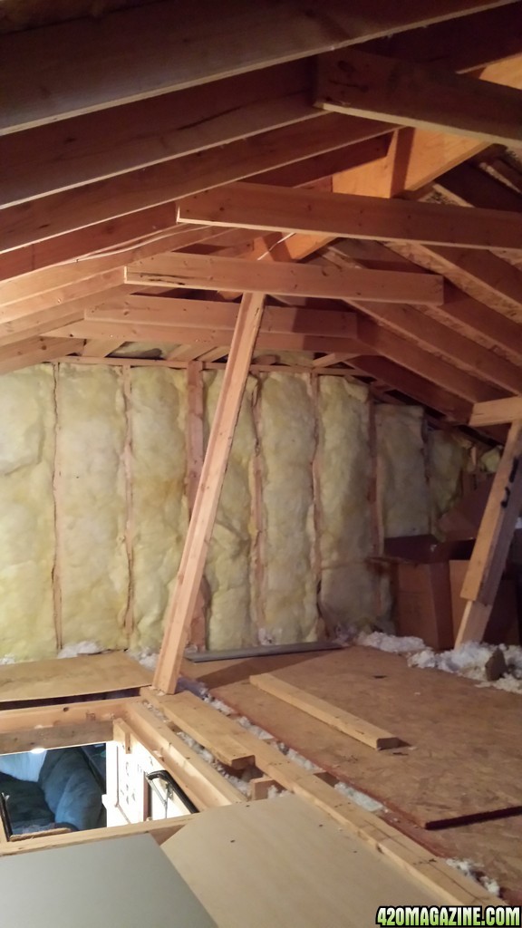 Prospective attic space for grow