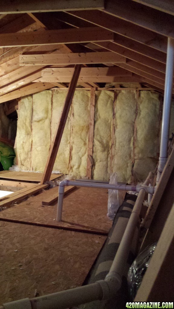 Prospective attic space for grow