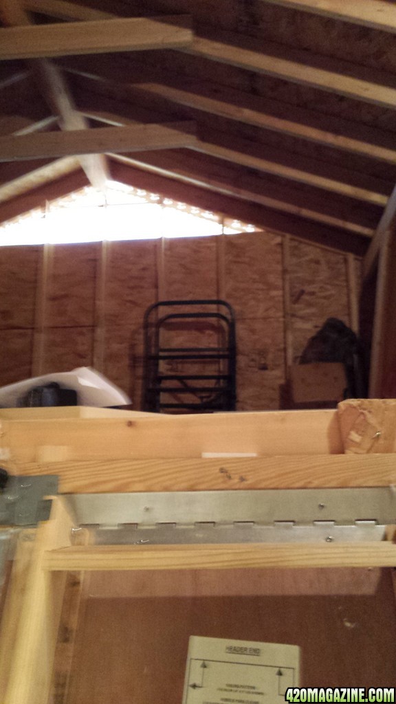 Prospective attic space for grow