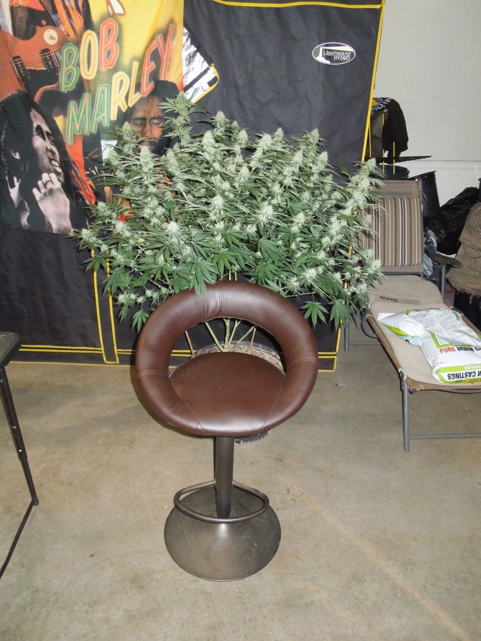 Purp D flip 35 profile chair 2.jpg