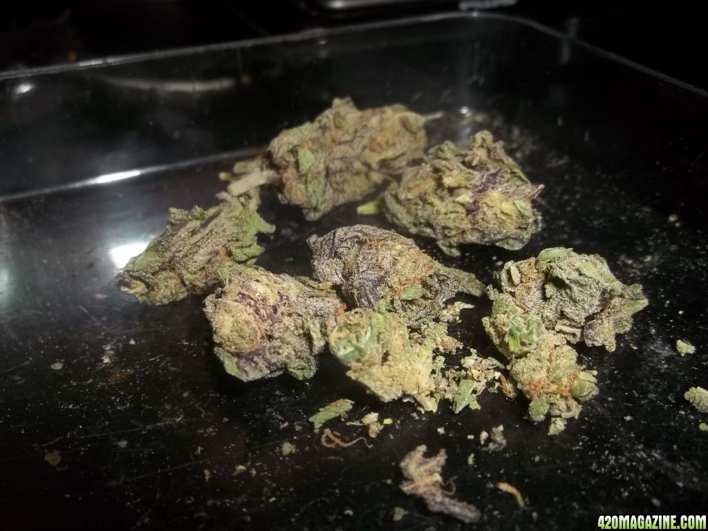 Purp