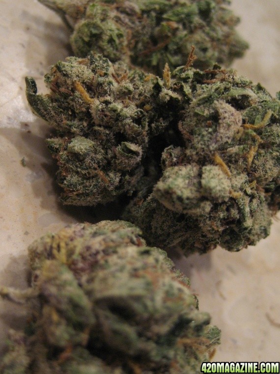 purple bubba kush