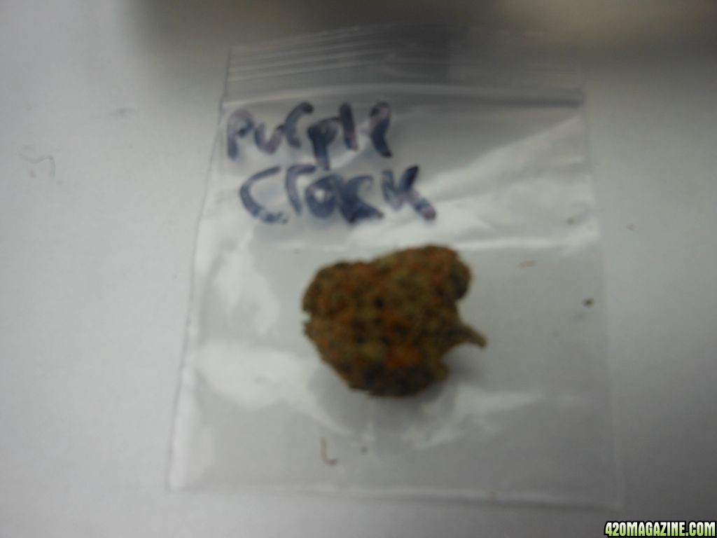 Purple Cra-ck