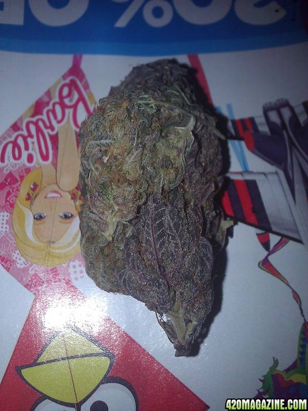 purple diesel