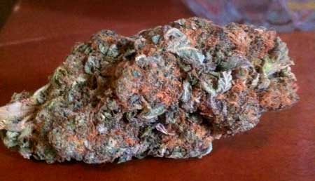 purple-god-bud-nug-colorful-sm.jpg