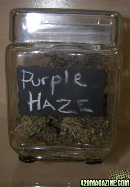 Purple Haze