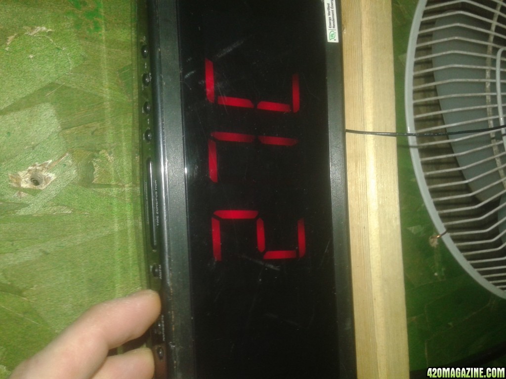 purple kush ROOM TEMP