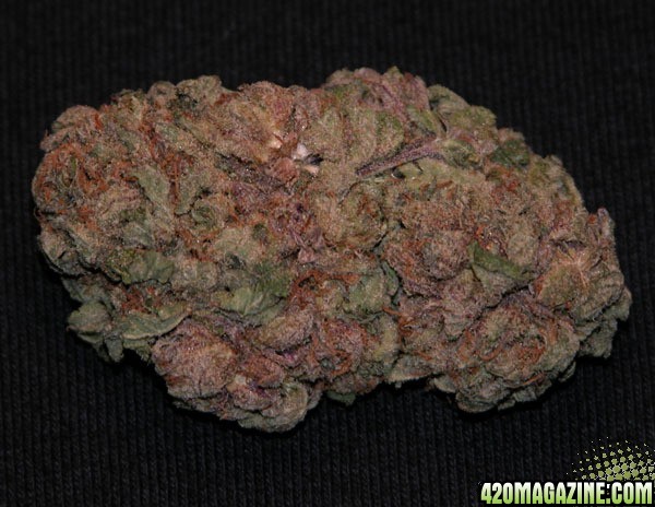 Purple Kush