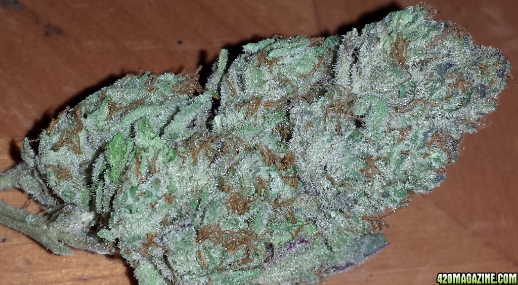 Purple Kush