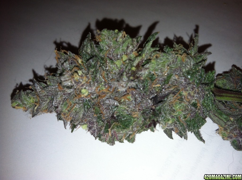 Purple-wreck