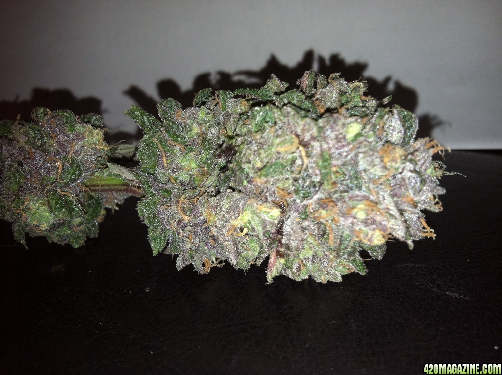 Purple-Wreck