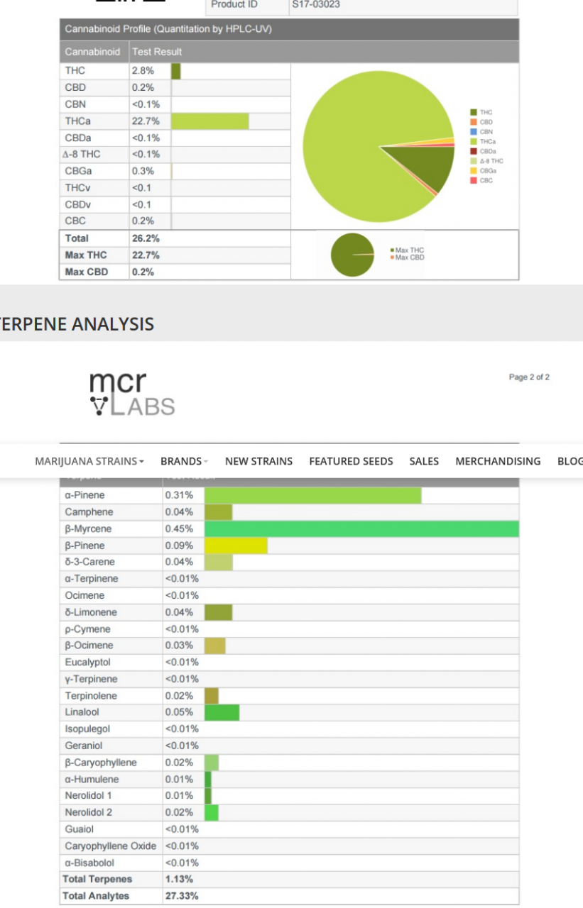 purple_haze_malawi_results2.png