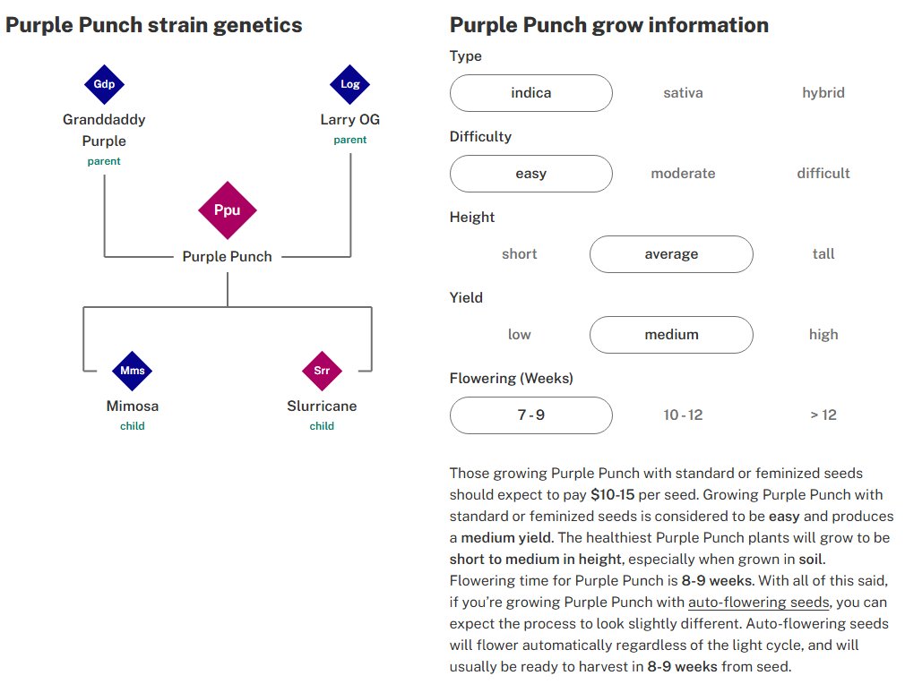 PurplePunch_data.jpg