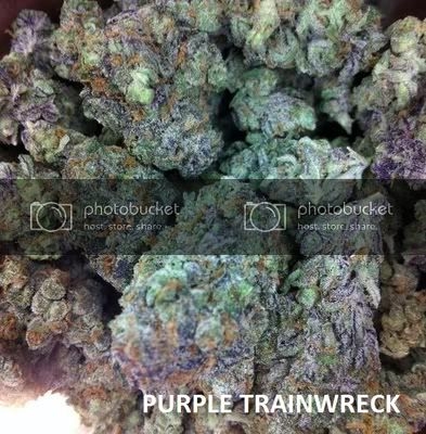 PURPLETRAINWRECK598x608.jpg