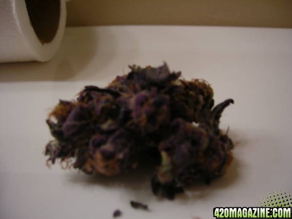 Purps