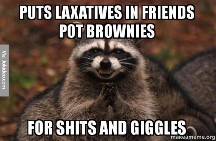 Put-laxatives-in-friends-pot-brownies---meme.jpg