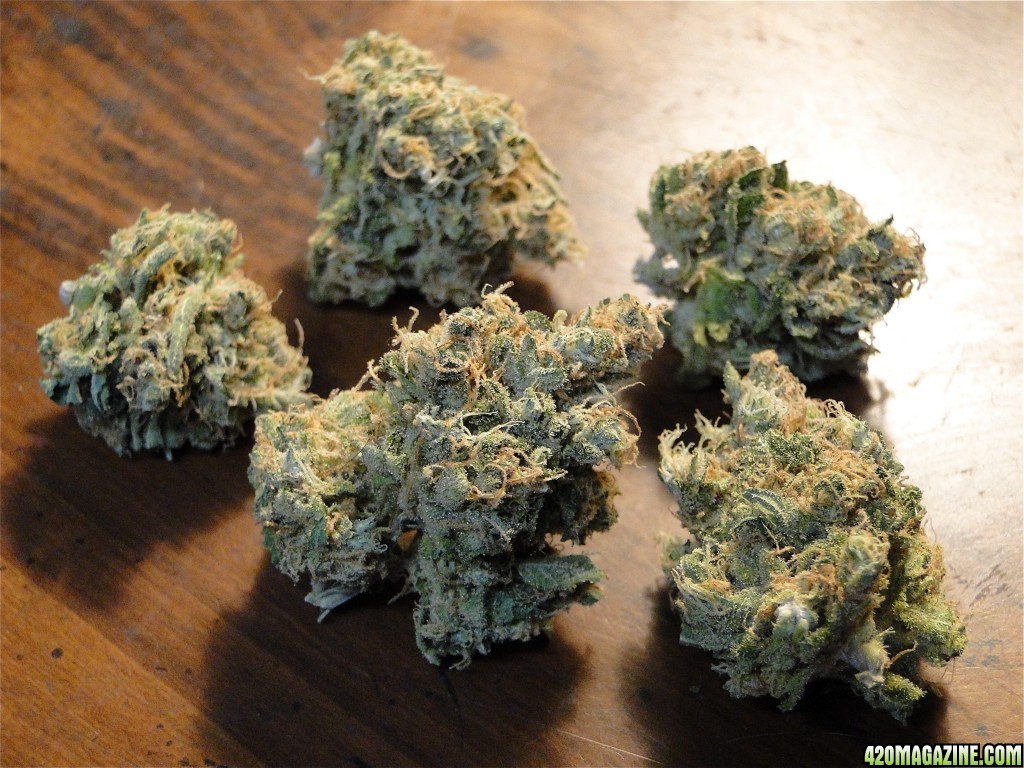 Random Indoor Strains