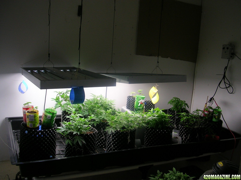 Random veg room shot