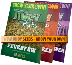 rawseeds2