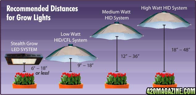 Recommended Distance For Grow Lights