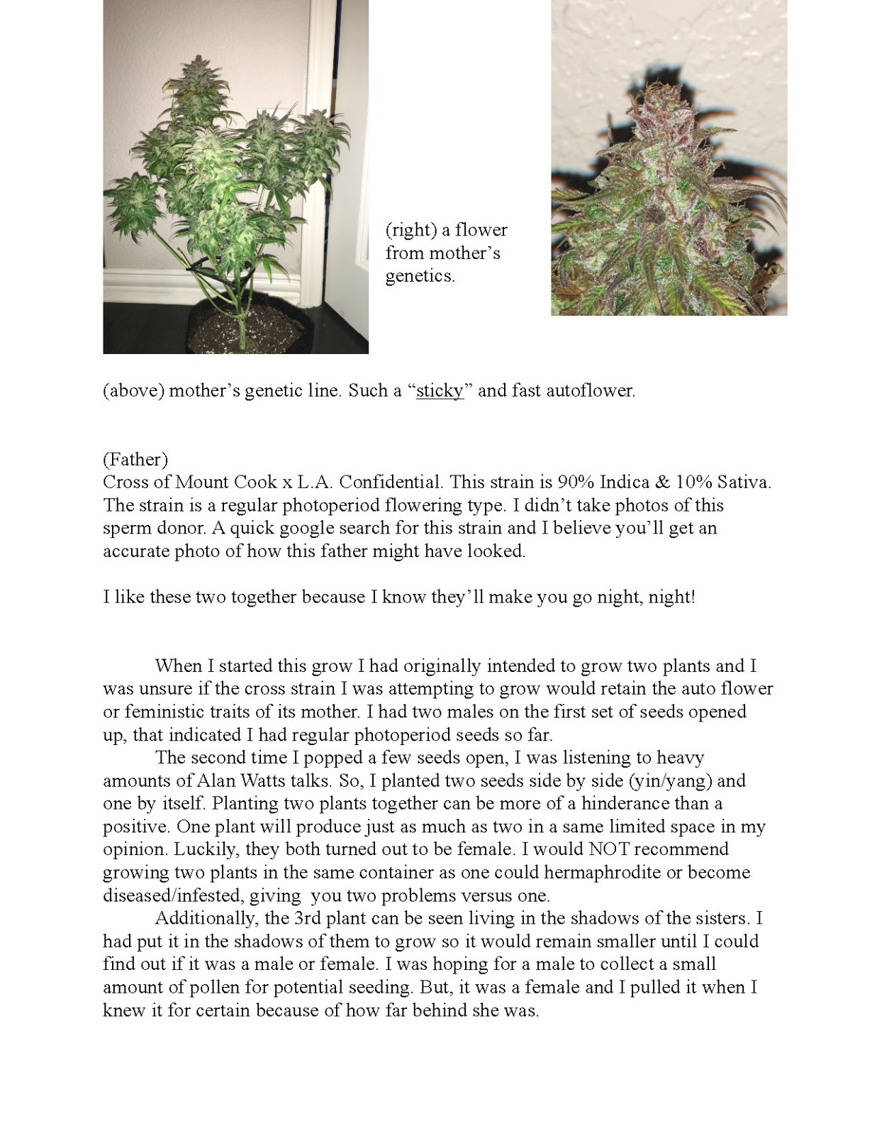 RedTejas' YinYang Grow Journal - 2023_Page_2.jpg