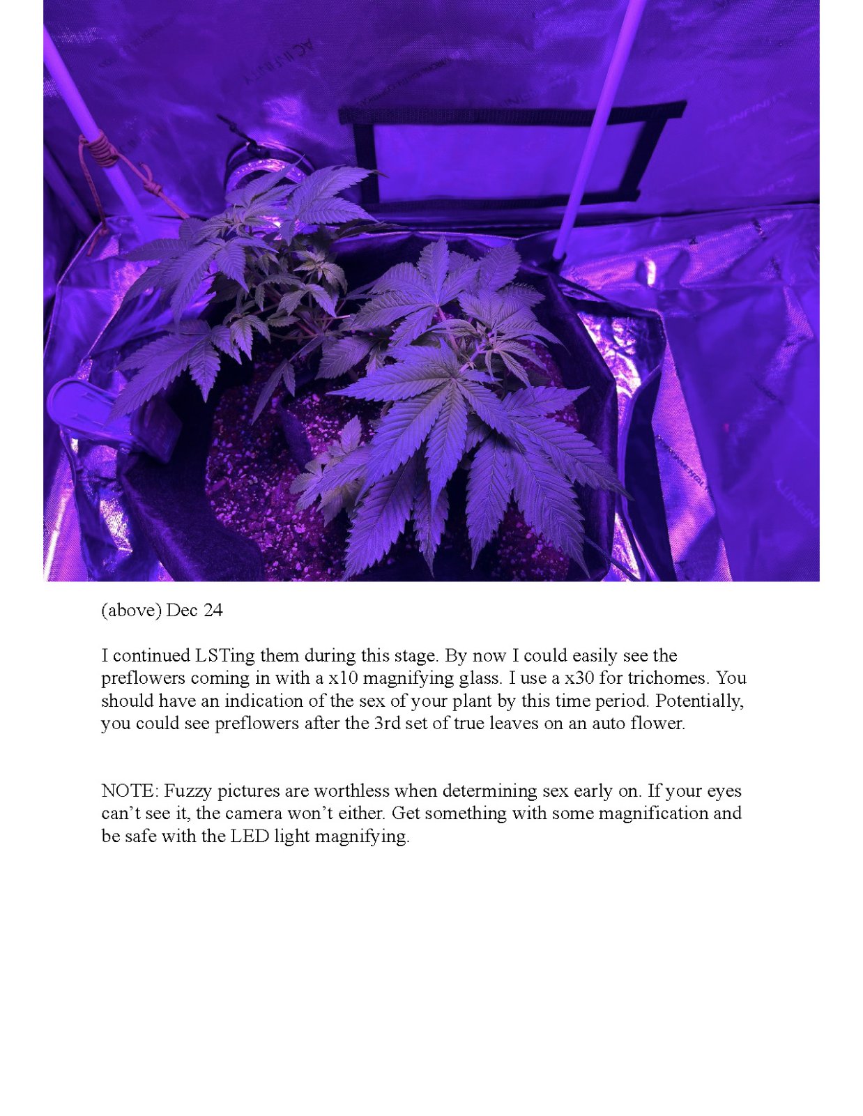 RedTejas' YinYang Grow Journal - 2023_Page_6.jpg