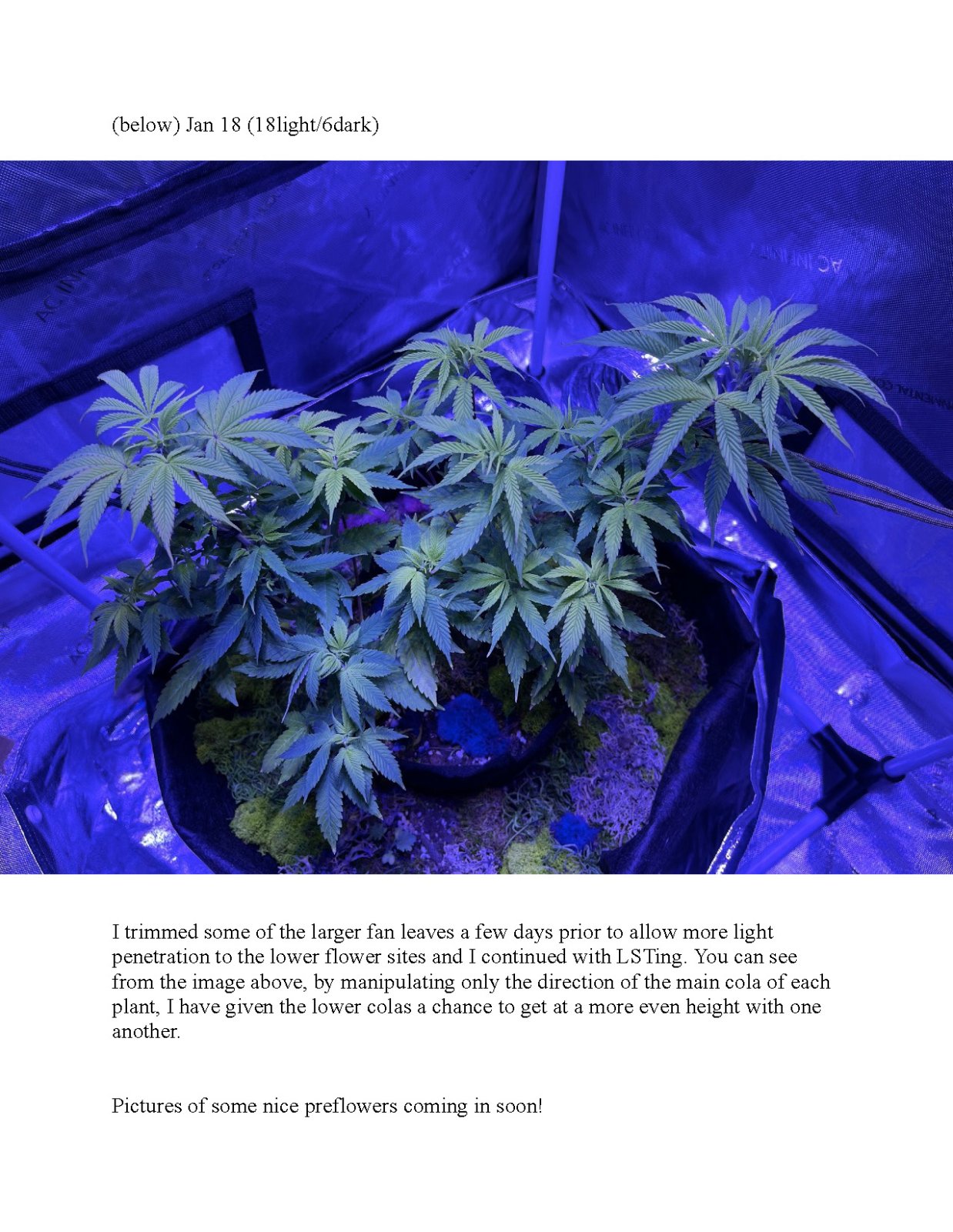 RedTejas' YinYang Grow Journal - 2023_Page_8.jpg