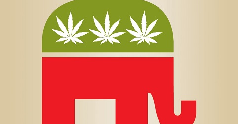 republican marijuana