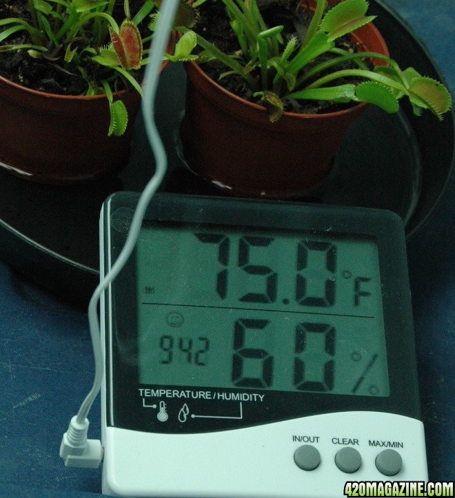 RH% /temp in Veg tent